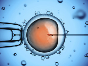 Even if IVF could be practiced in a way where embryos were not destroyed, it would still separate the unitive and procreative aspects of human sexuality