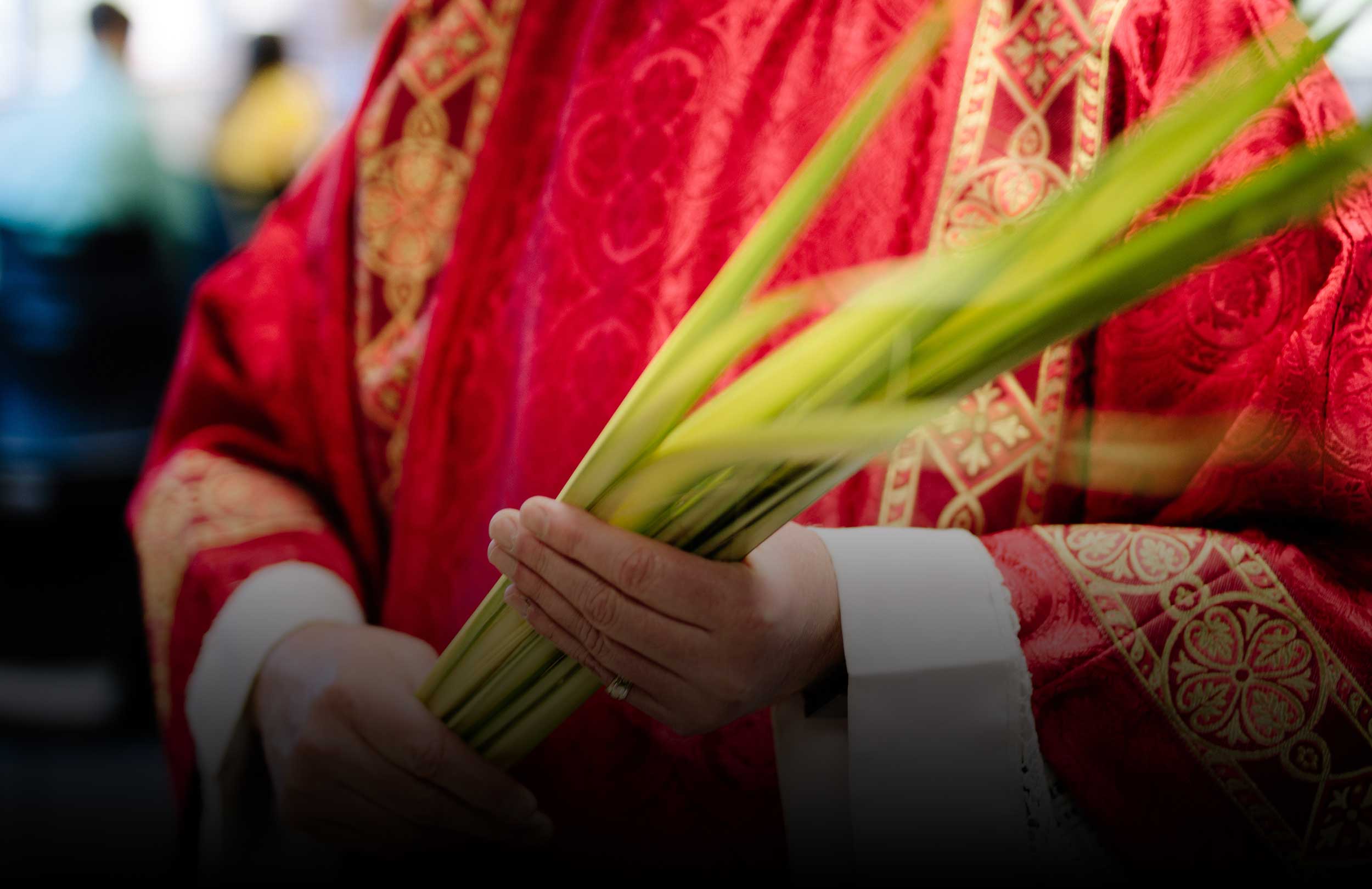 6th Sunday of Lent (Palm Sunday), Cycle B The Roman Catholic Diocese