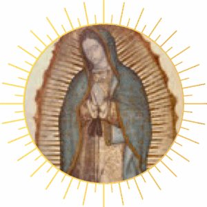 Our Lady of Guadalupe Circle graphic