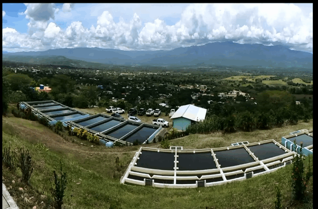 Arial view of facility